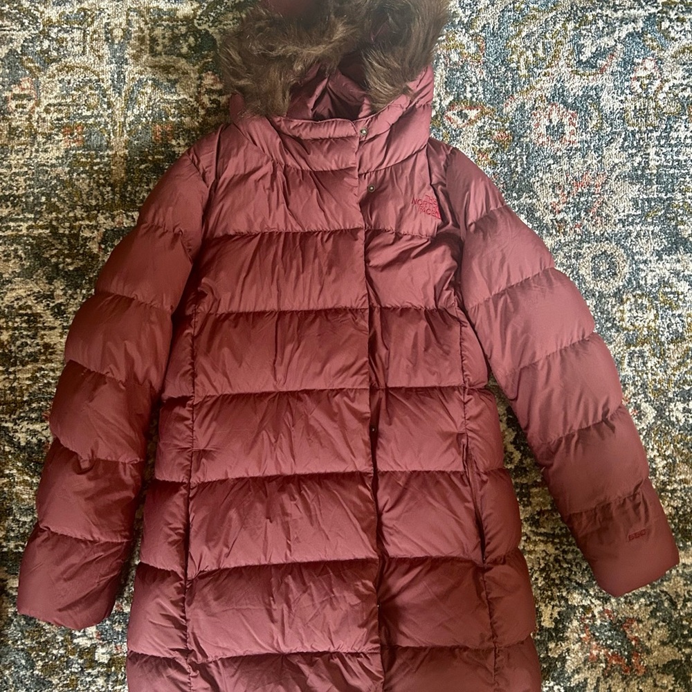 The North Face New Dealio parka
